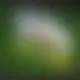 Zagraj Let It Ride z Playtech w {"id":73,"name":"Nitro Casino","design":{"logo":"nitro-casino-logo-BHE35E.svg","favicon":"nitro-casino-favicon-uoS2O9.png","banner_poker":"nitro-casino-poker-PSxg8a.webp","banner_mobile":"nitro-casino-mobile-IcErlO.webp","block_bg_color":"#000","image_bg_color":"#333","banner_bg_color":"#18181b","block_text_color":"#ffffff","primary_bg_color":"#262626","banner_text_color":"#fff","footer_logos_type":"white","block_round_radius":"0.25rem","primary_text_color":"#ffffff","button_round_radius":"0.25rem","banner_welcome_bonus":"nitro-casino-welcome-bonus-TkeVH7.webp","primary_button_bg_color":"#ea580c","primary_button_text_color":"#fff","secondary_button_bg_color":"#999","secondary_button_text_color":"#fff"},"created_at":"2025-05-14T09:25:22.000000Z","updated_at":"2025-05-14T09:25:22.000000Z","deleted_at":null}